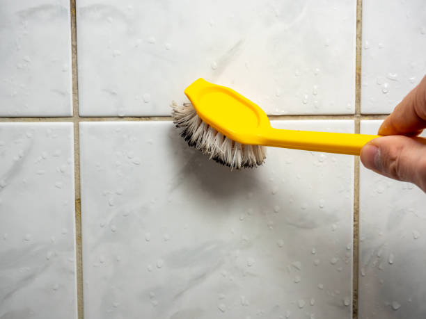 Best Same-Day Mold Removal  in Davenport, WA