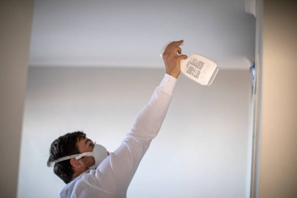 Best Toxic Mold Removal  in Davenport, WA