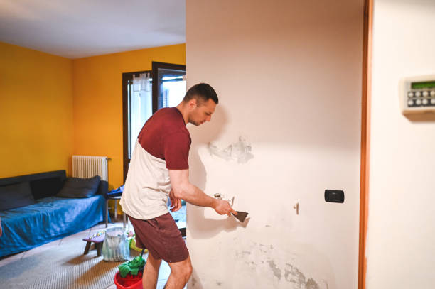Reliable Davenport, WA Mold Removal Solutions